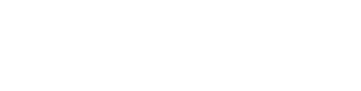 Border force